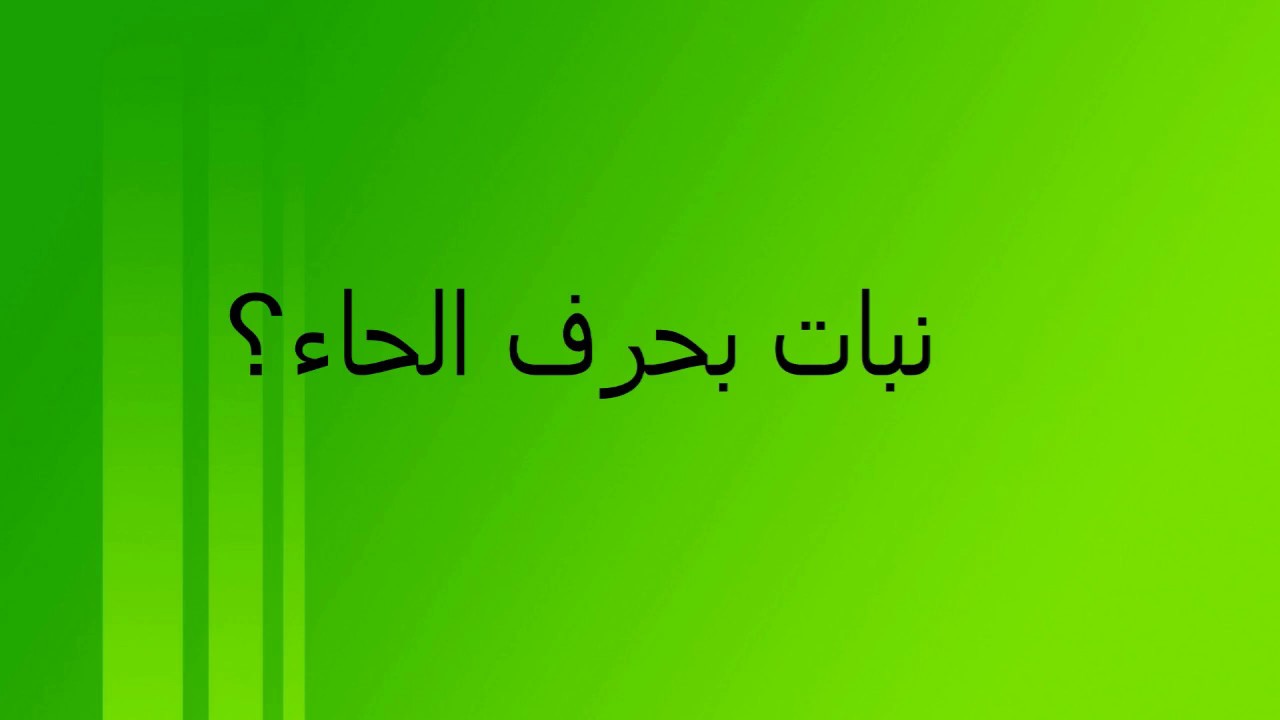 نبات بحرف الحاء - فكر والعب فى الحروف 5690