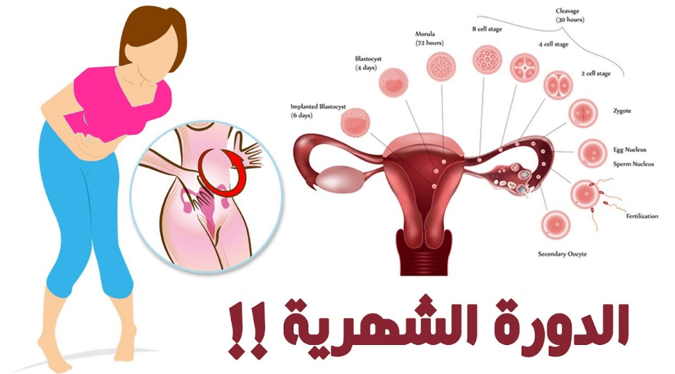 الدورة الشهرية للبنت،اعراض الدوره الشهريه 3453