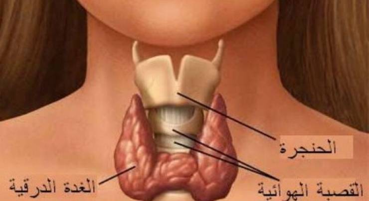 اعراض ورم الغدة الدرقية - علامات الاصابة بسرطان الغدة الدرقية 2379 2