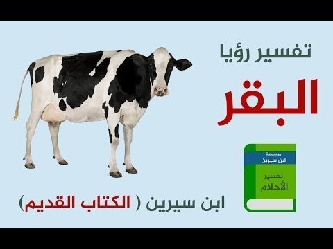 تفسير حلم ذبح البقرة - معني دبح البقره في المنام 3801 2