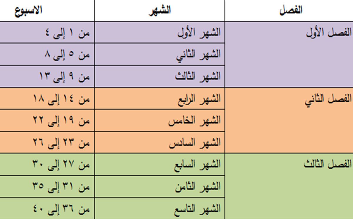 كيف احسب حملي بالضبط،حساب الحمل بالاسبوع 3446 1