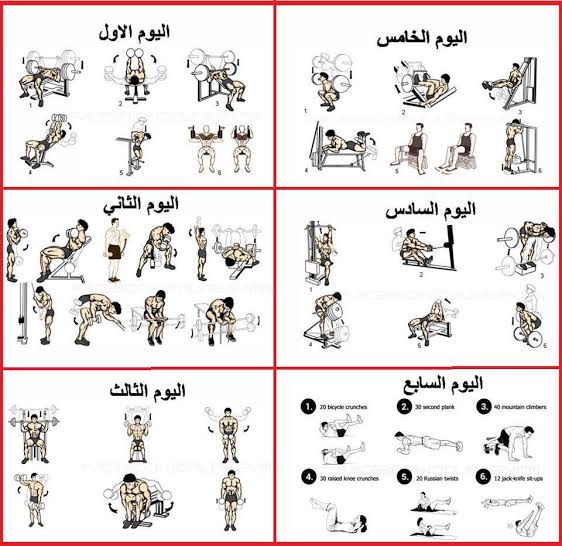 جدول تمارين كمال اجسام بالصور - كلنا نريد هذا 4776 2