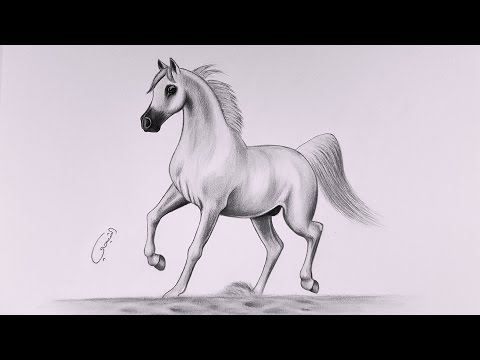 رسم حصان بالرصاص - تعلم الرسم باحترافية بخطوات بسيطة وسهلة 0