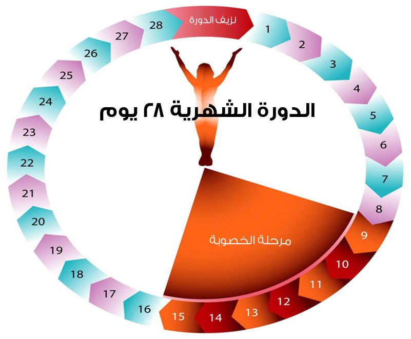 اسباب تاخر نزول الدورة الشهرية - حقائق حول تاخير الدورة 5226 1