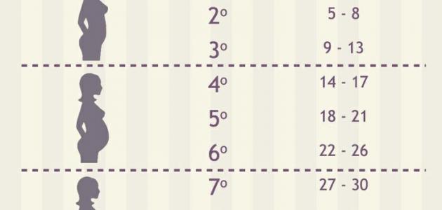 كيف احسب بداية الحمل - كيفيه معرفه يوم الولاده 2744