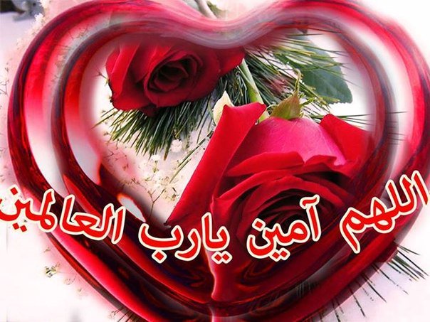 صور اللهم امين،رمزيات و خواطر دينيه 3239 2