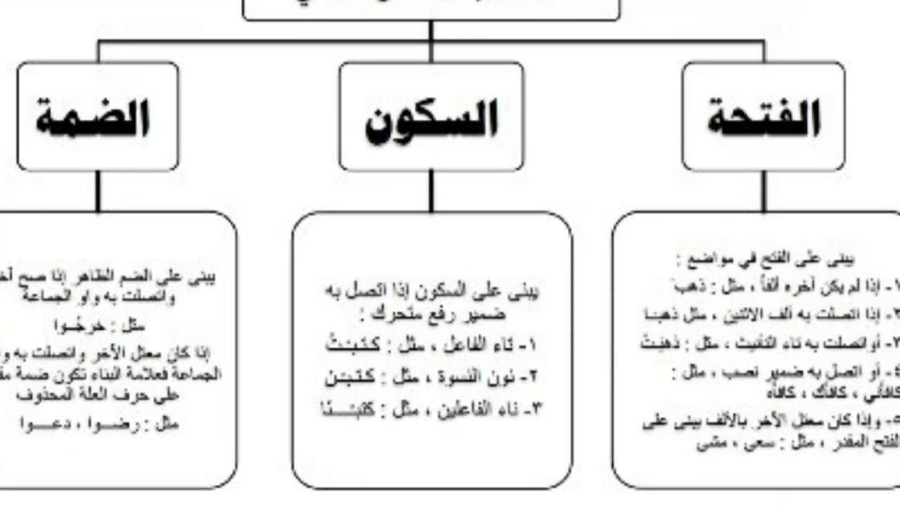 حالات بناء الفعل الماضي - علامه اعراب الفعل الماضي 3912 1