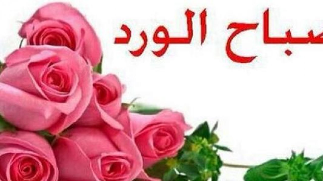 صباح الخير ياورد - خير الصباح مع الورود 5740 9