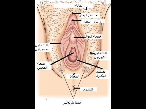 كيف تعرف البنت انها مازالت عذراء - معلومات هامة عن غشاء البكارة وعذرية الفتاة 2285 1