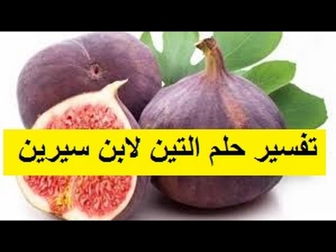 تفسير حلم قطف التين - رؤية التين فى المنام لها مدلولات كثيرة فماهى 2384 2