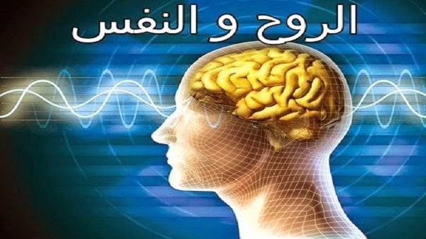 الفرق بين النفس والروح - هل من فرق بين الروح والنفس 219