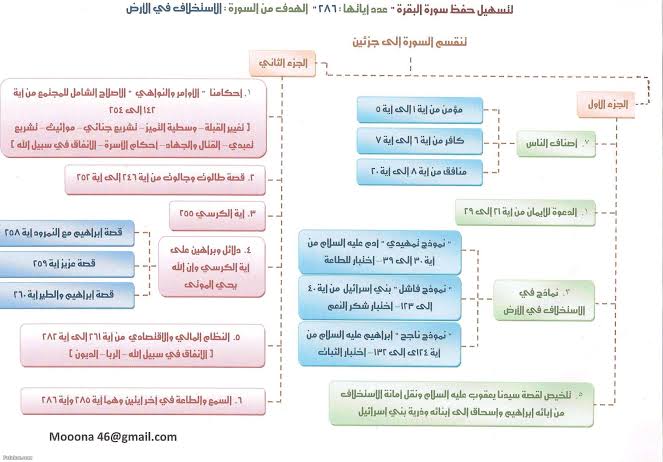 تفسير صورة البقرة - هو شفاء الجسد كله 4877 1