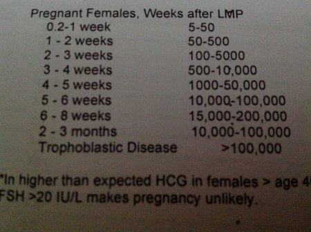 نسبة هرمون الحمل ماهو معدل الطبيعي لهرمون الحمل شوق وغزل