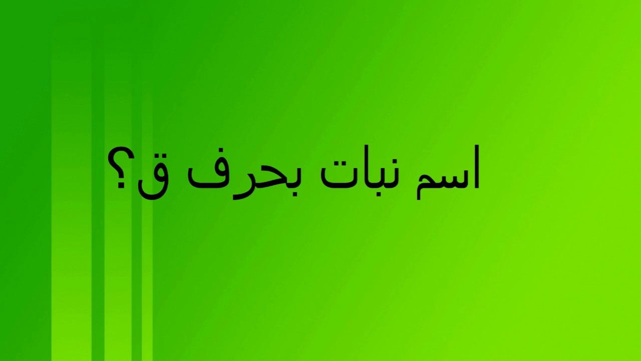 اسم بنت حرف ق , اسماء بنات حديثه تبدا بحرف القاف