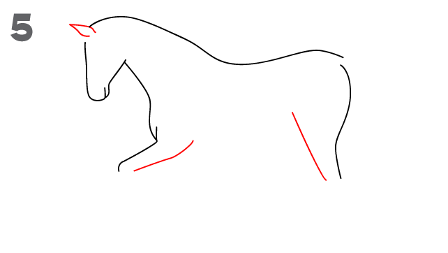 2559 رسم حصان بالرصاص - تعلم الرسم باحترافية بخطوات بسيطة وسهلة راقيه مصطفى